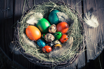 Ecological Easter eggs in the nest with hay