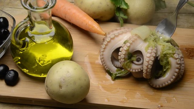 Octopus vulgaris Gewone seekat Polpo Gew&ouml;hnlicher Krake Pieuvre أخطبوط شائع Achtarm Pulpo Осьминог обыкновенный 왜문어 普通章魚 Ośmiornica zwyczajna תמנון החוף