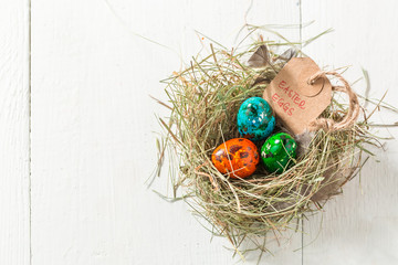Quail Easter eggs with feathers and hay
