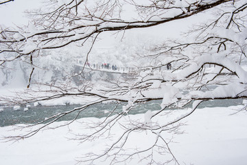 Historic Village of Shirakawago