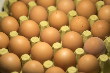 Eggs