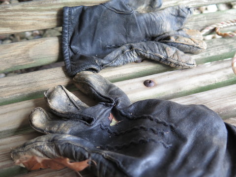 The Gardener's Gloves