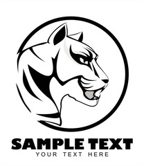 tiger, tiger head on black and white.