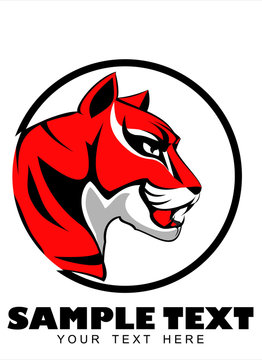 tiger, tiger head, 
