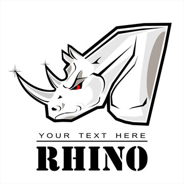 rhino, rhinoceros, white rhino, rhinos