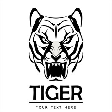 tiger, tiger head