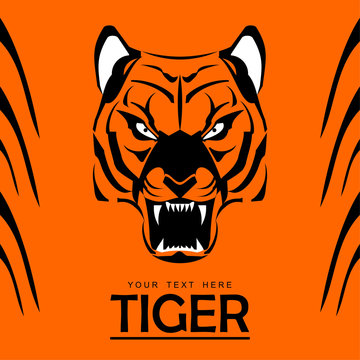 tiger, tiger head