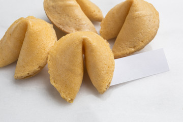 Group of Fortune cookie with blank fortune paper