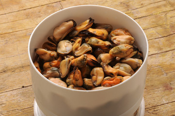 Mytilus galloprovincialis Mediterreense mossel Mediterranean mussel Mediteranska dagnja Cozze Черноморская мидия Peoci Trai Địa Trung Hải Muscoli 地中海貽貝 ムラサキイガイ