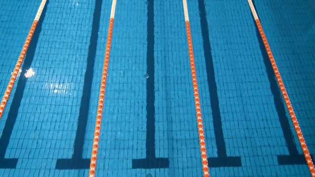 AERIAL: professional swimmer finishes at a distance on the competition in the pool. 4K. View from above.