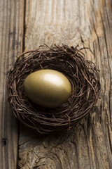 Financial Nest Egg and Building Additional Wealth and financial planning
