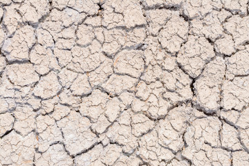 Soil texture background crack pattern for design.