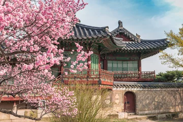 Rolgordijnen Spring Cherry Blossom at Changdeokgung Palace, Seoul, South Korea © Noppasinw