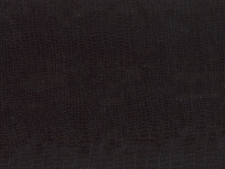 texture of leather for background.