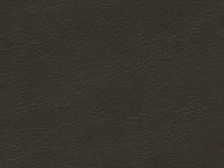 texture of leather for background.