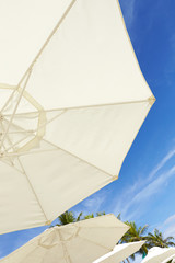 Beach parasol 