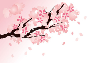 桜 枝 木 花 ピンク
