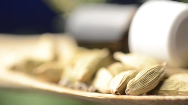 Elettaria cardamomum Cardamomo Green True cardamom Gr&uuml;ner Kardamom Zingiberaceae Cardamome Grana del para&iacute;so Kardamon malabarski 白豆蔻 Kardemumma هال 카다멈 カルダモン Кардамон настоящий