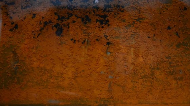 Rusty sheet of metal in the water.