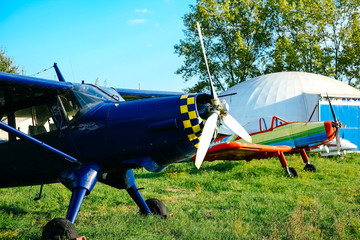 Blue airpane parked on the grass at the airfield