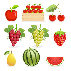 Pineapple and banana fruit. Vector illustration.