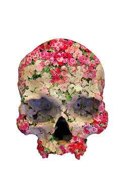 Skull with Roses in double exposure isolated on white background.
