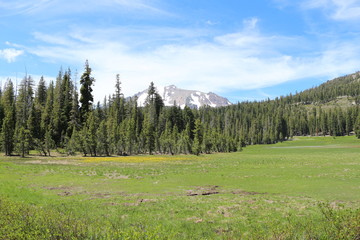 Fototapeta na wymiar Mount Lassen And Meadow At Volcanic National Park 