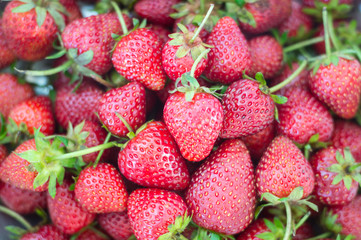 background from fresh strawberries, Top view