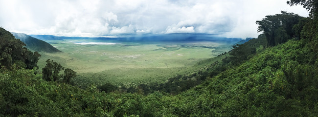 wide Ngorongoro Crater in Tanzania - obrazy, fototapety, plakaty