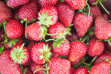 background from fresh strawberries, Top view