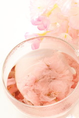 Sakura tea for Japanese spring image
