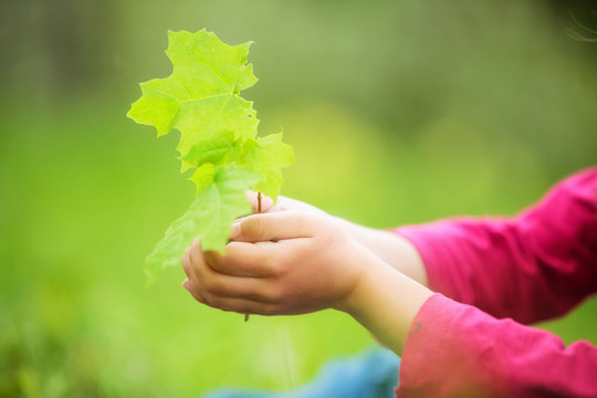 Child holding little green plant in hands. Ecology concept