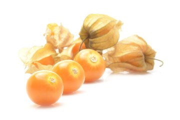 physalis