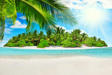 Obraz na płótnie Canvas Whole tropical island within atoll in Indian Ocean and blank sand on a tropical island.