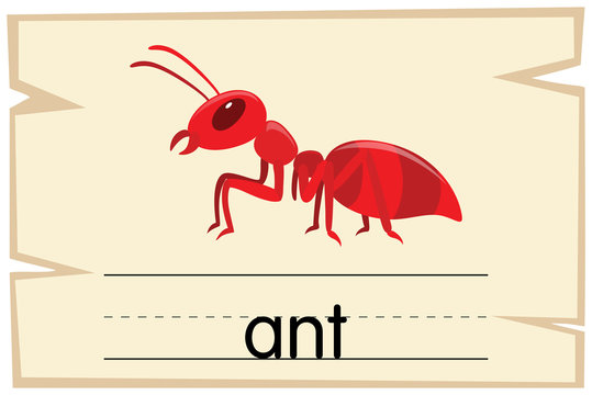 Wordcard template for word ant
