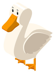 3D design for white duck