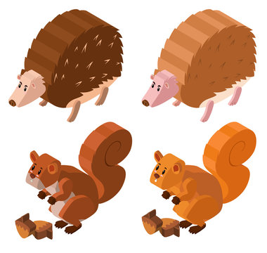 3D design for hedgehogs and squirrels