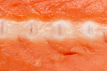 Fototapeta premium red meat salmon as a background