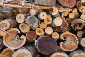 Wood logs background.
