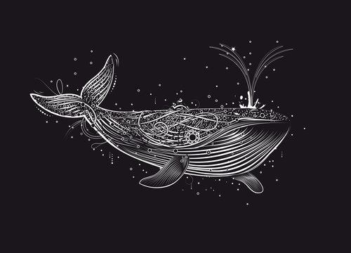 Ein wei&szlig;er Wal im Ozean.
Handgezeichneter Wal aus feinen wei&szlig;en Linien und Ornamenten.
Wal mit Font&auml;ne.