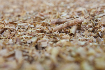 Debris near sawdust.