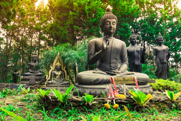 Group of buddha statues sitting and standing in forest.