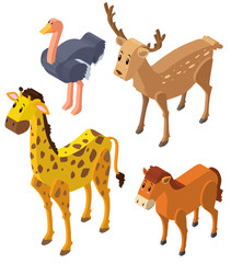 Obraz premium 3D design for wild animals