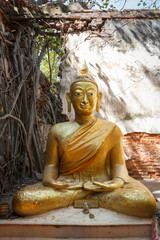 Golden Buddha statue.