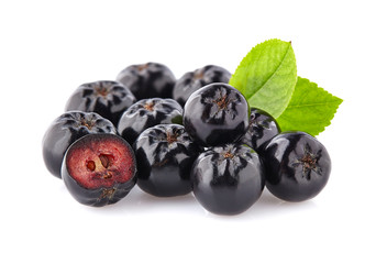 Chokeberry with leaf.Black aronia