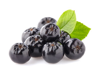Chokeberry with leaf.Black ashberry