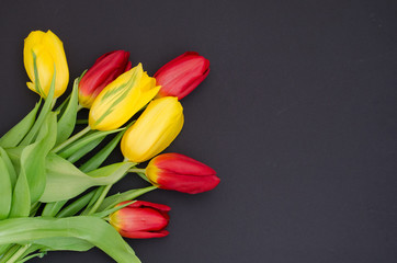 Fresh spring red and yellow tulip bouquet flowers close up macro isolated in the lower left corner on black background top view with copy space