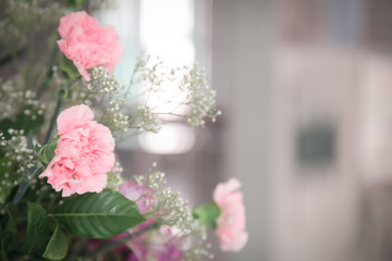 Pink blossom closeup photograph | Beautiful spring flora background