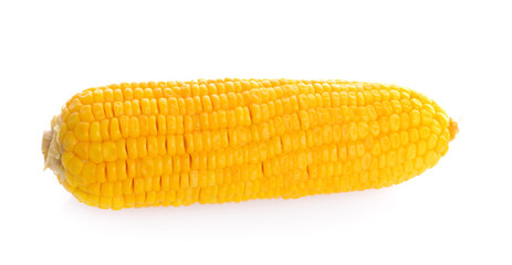 corn on white background