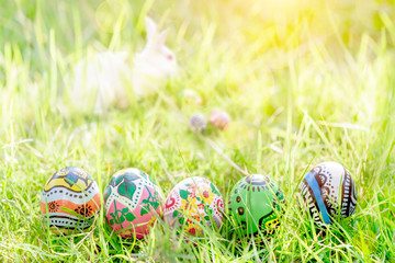 Colorful Egg on Green Grass bokeh For  Easter Background
